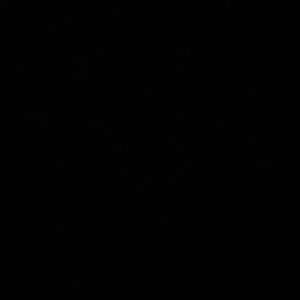 Meet your Posher, Jodie